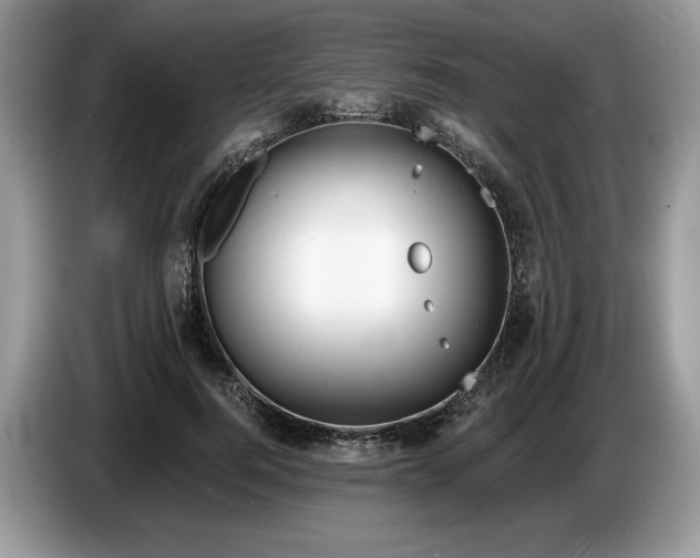 X0000087550744200704271208