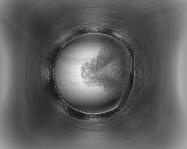 X0000087550746200704271208