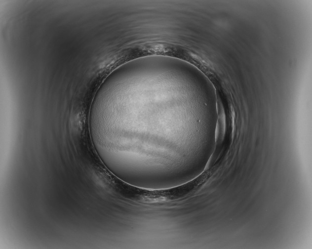 X0000087550747200704271208