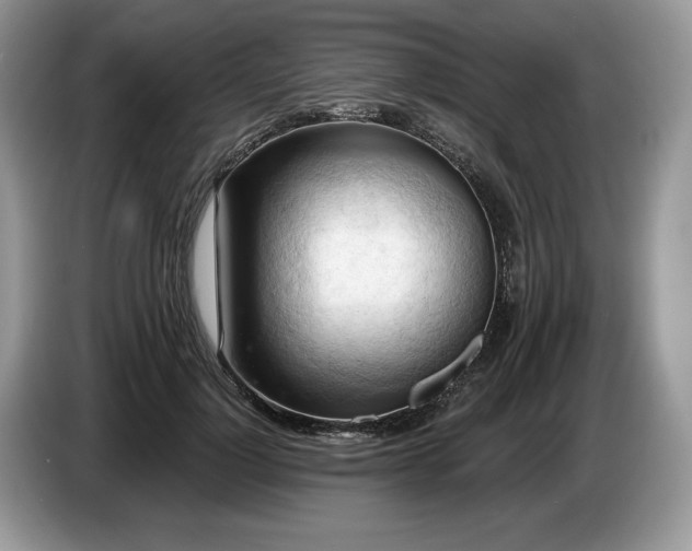 X0000087550748200704271208