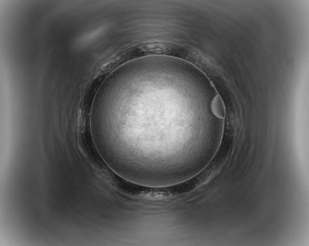 X0000087550751200704271208