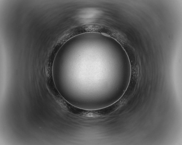 X0000087550755200704271208