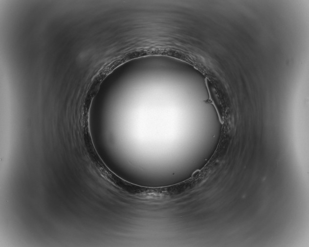 X0000087550756200704271208
