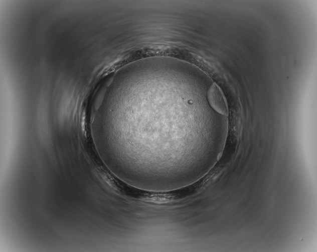 X0000087550758200704271208