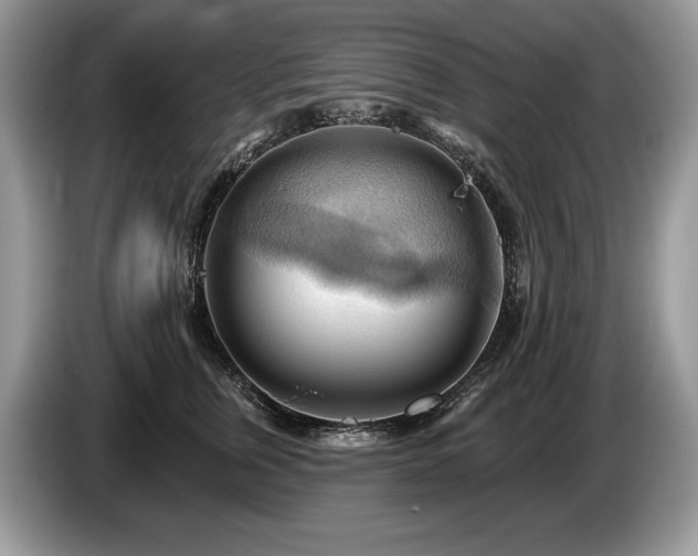 X0000087550759200704271208