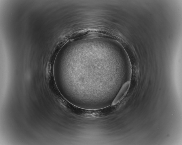 X0000087550760200704271208