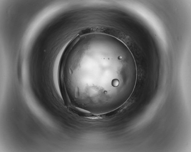 X0000087550765200704271208