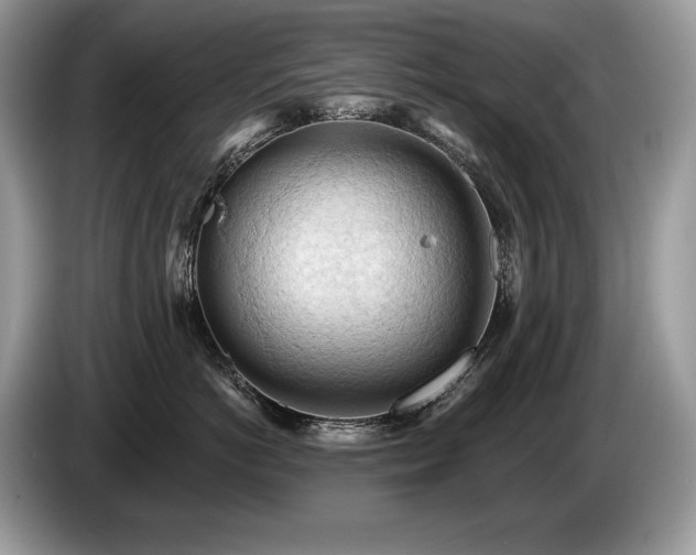 X0000087550766200704271208