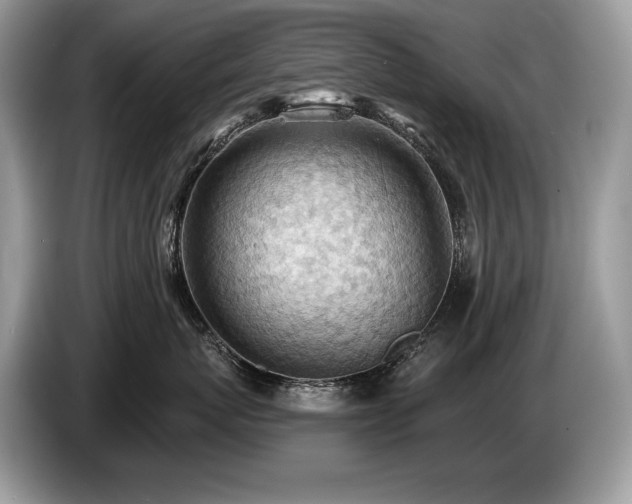 X0000087550767200704271208