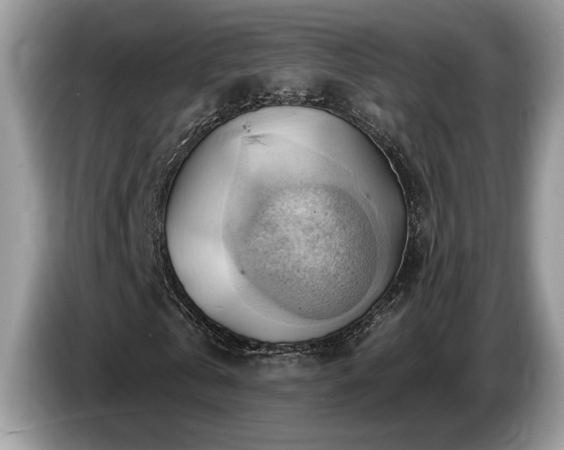 X0000087550769200704271208