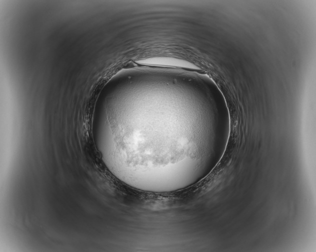 X0000087550772200704271208