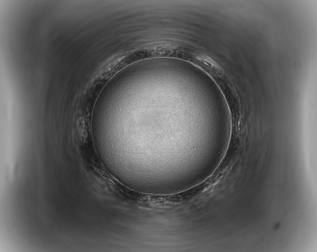 X0000087550774200704271208