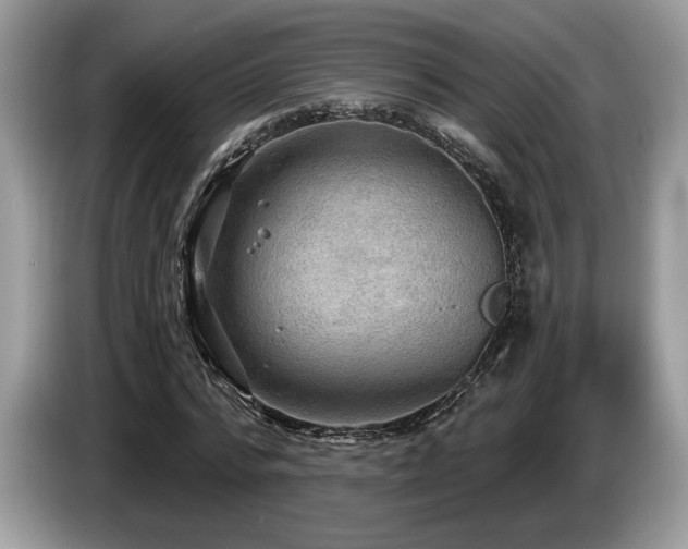 X0000087550776200704271207
