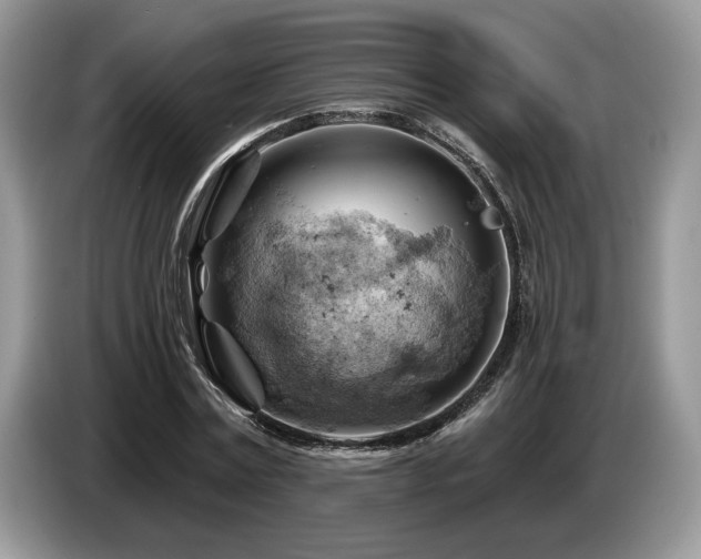 X0000087550779200704271207