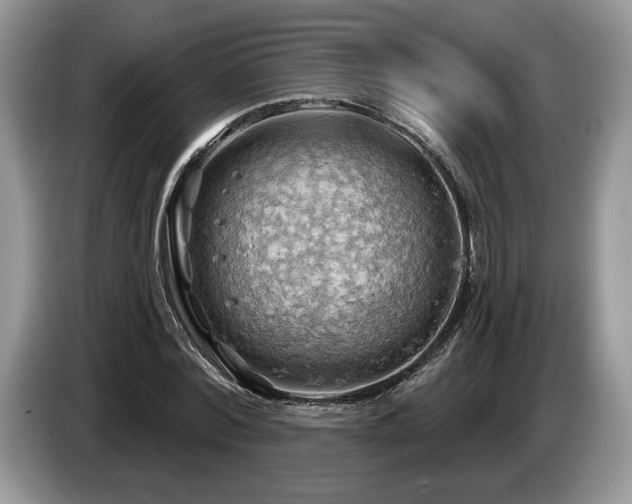 X0000087550780200704271207