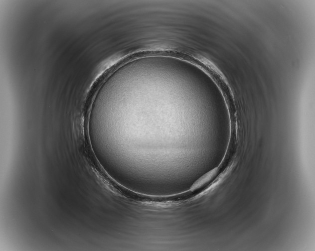 X0000087550781200704271207
