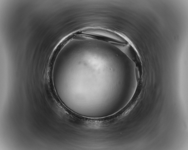 X0000087550783200704271207