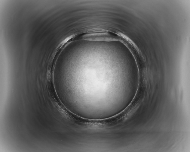 X0000087550785200704271207