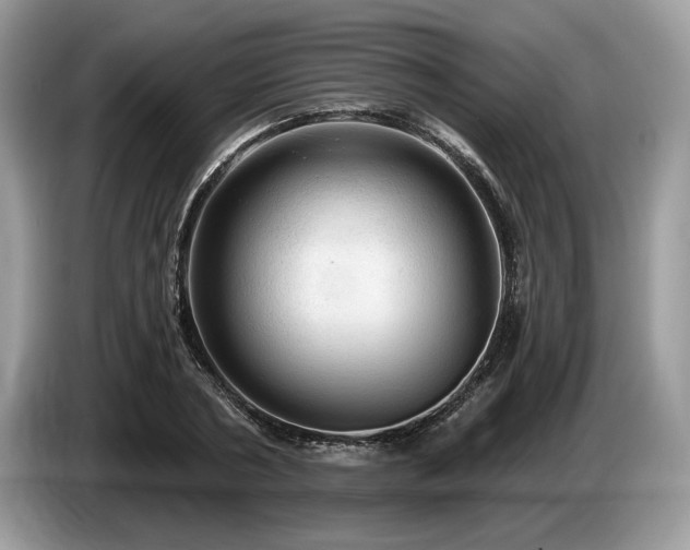 X0000087550786200704271207