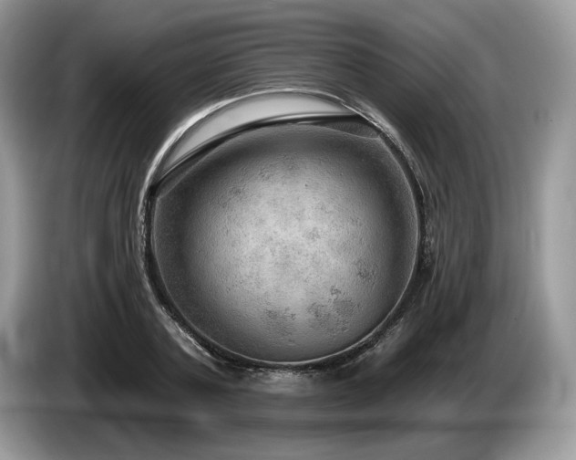 X0000087550787200704271207