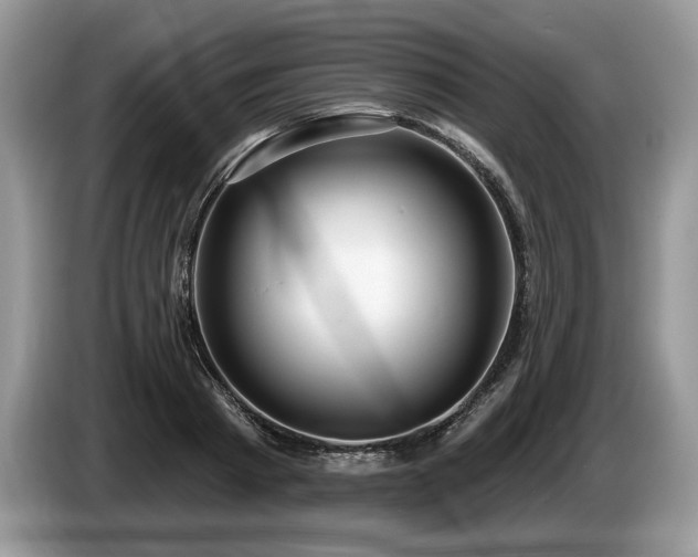 X0000087550793200704271207