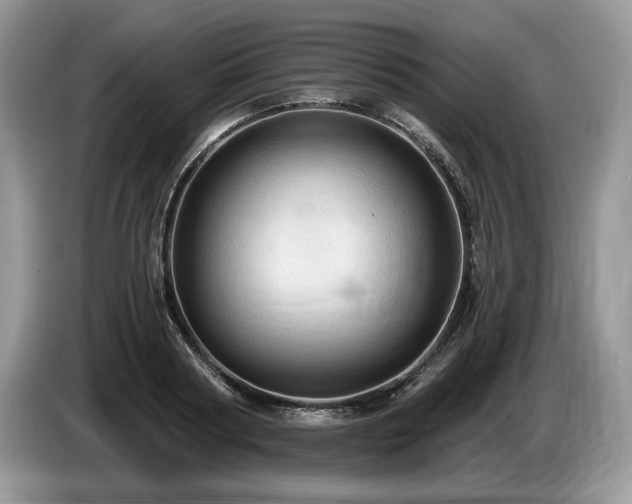 X0000087550794200704271207