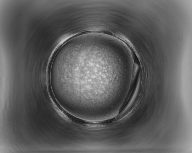 X0000087550795200704271207