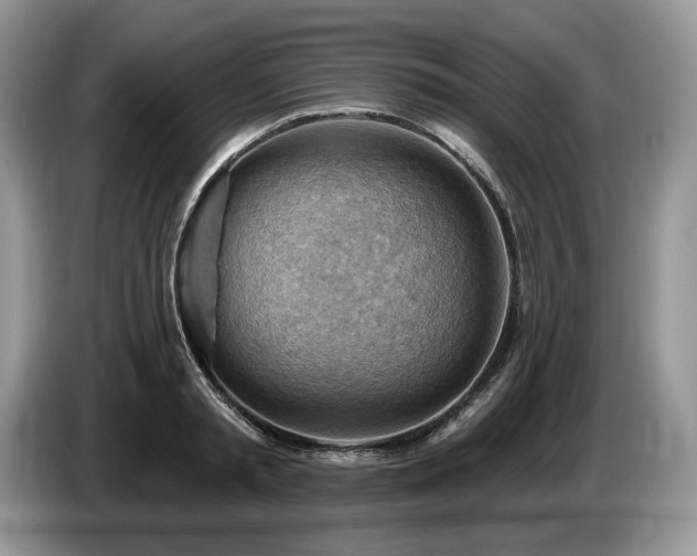 X0000087550797200704271207