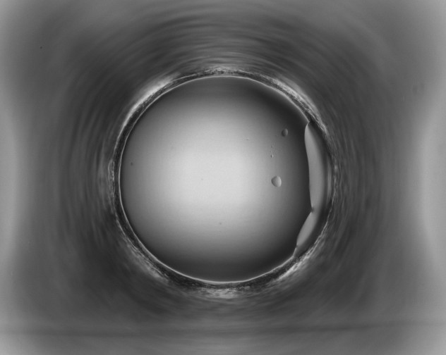 X0000087550798200704271207