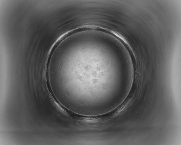 X0000087550799200704271207