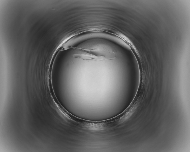 X0000087550802200704271207