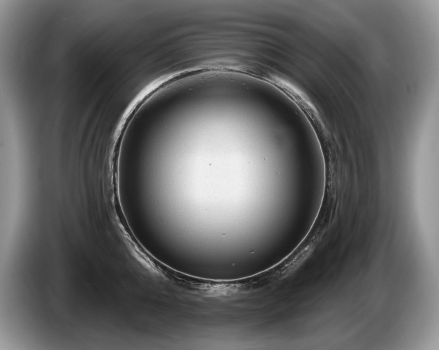 X0000087550808200704271207