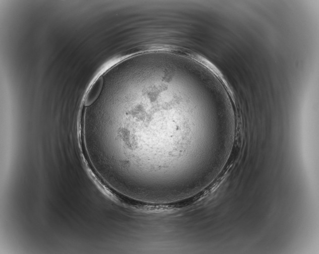 X0000087550811200704271207