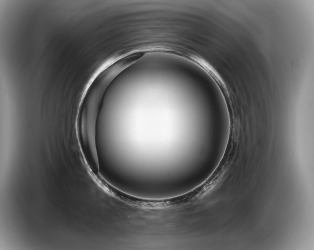 X0000087550813200704271207