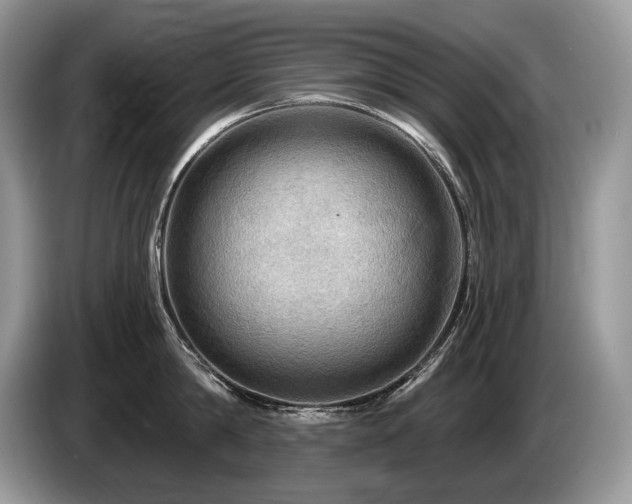 X0000087550814200704271207