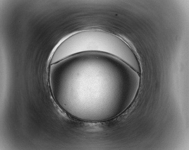 X0000087550816200704271207