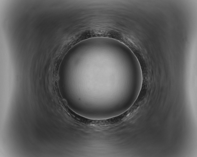 X0000087550817200704271206