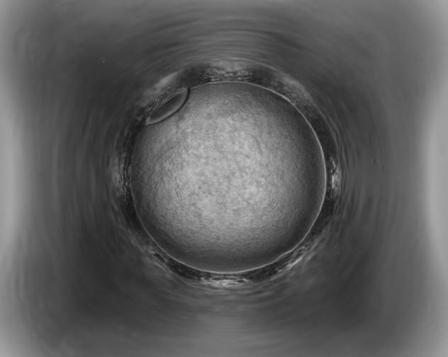 X0000087550819200704271206