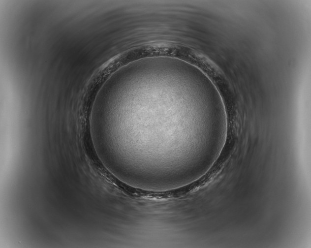 X0000087550821200704271207