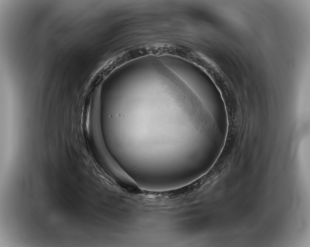 X0000087550823200704271207