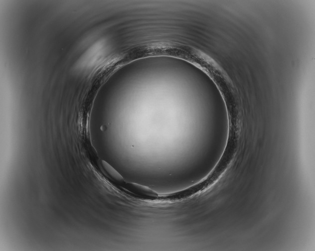 X0000087550825200704271207