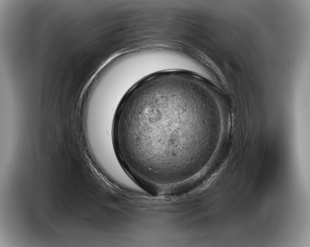 X0000087550828200704271207