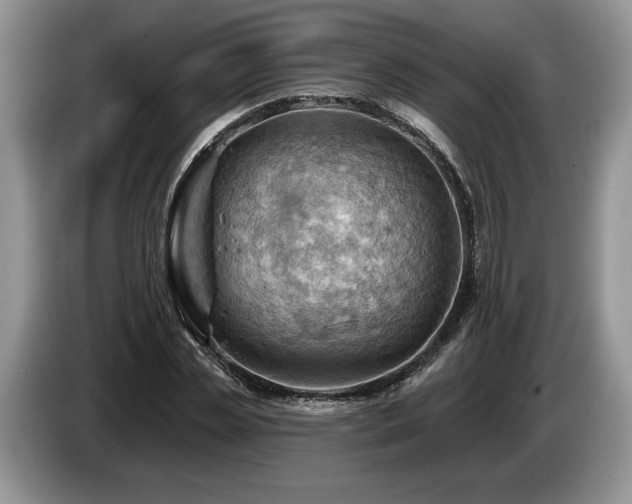 X0000087550829200704271207