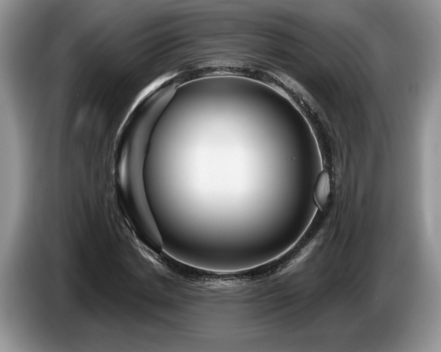 X0000087550830200704271207