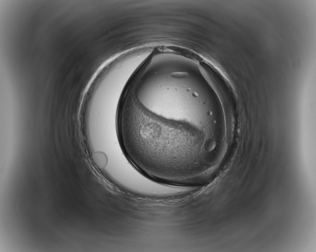 X0000087550832200704271207