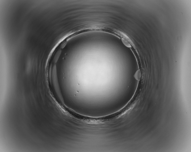 X0000087550835200704271207