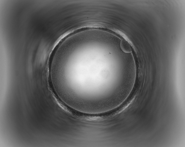 X0000087550837200704271207