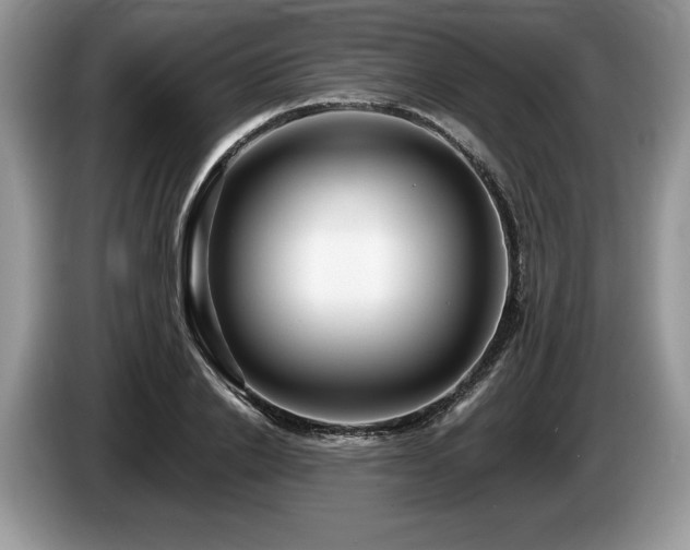 X0000087550838200704271207