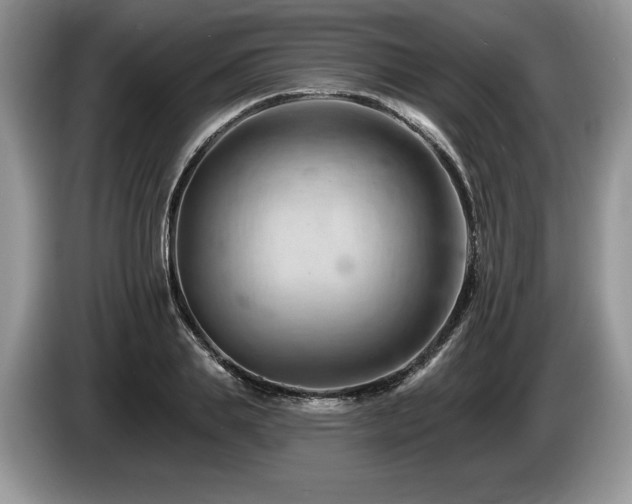 X0000087550839200704271207