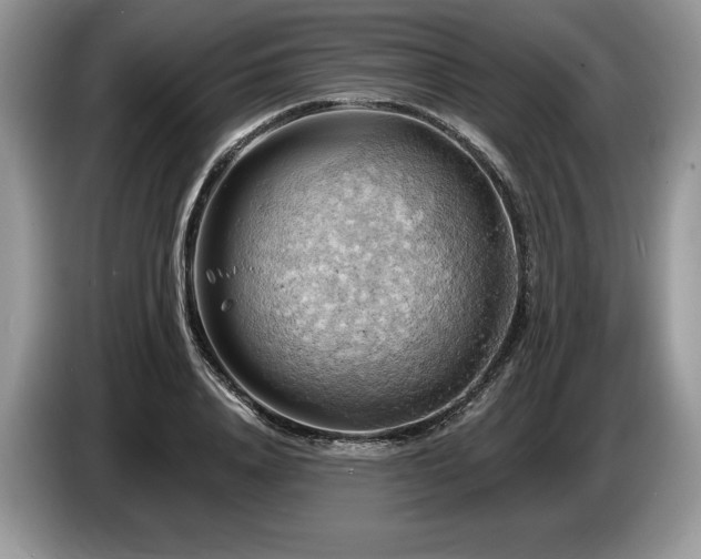 X0000087550840200704271207